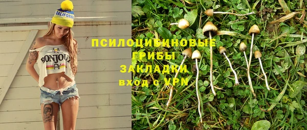 сатива Алзамай