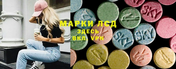 сатива Алзамай