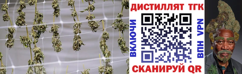 Дистиллят ТГК концентрат  магазин продажи наркотиков  Светлоград 
