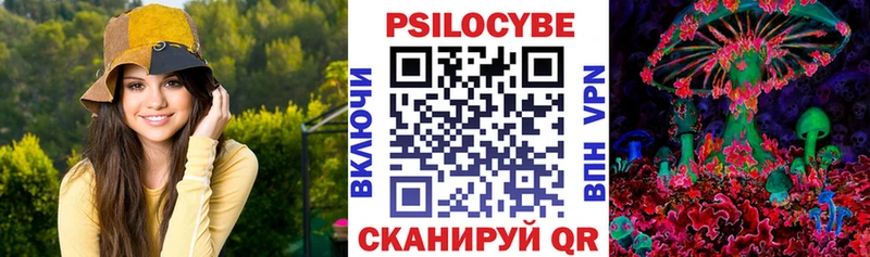 Галлюциногенные грибы Psilocybine cubensis  Светлоград 