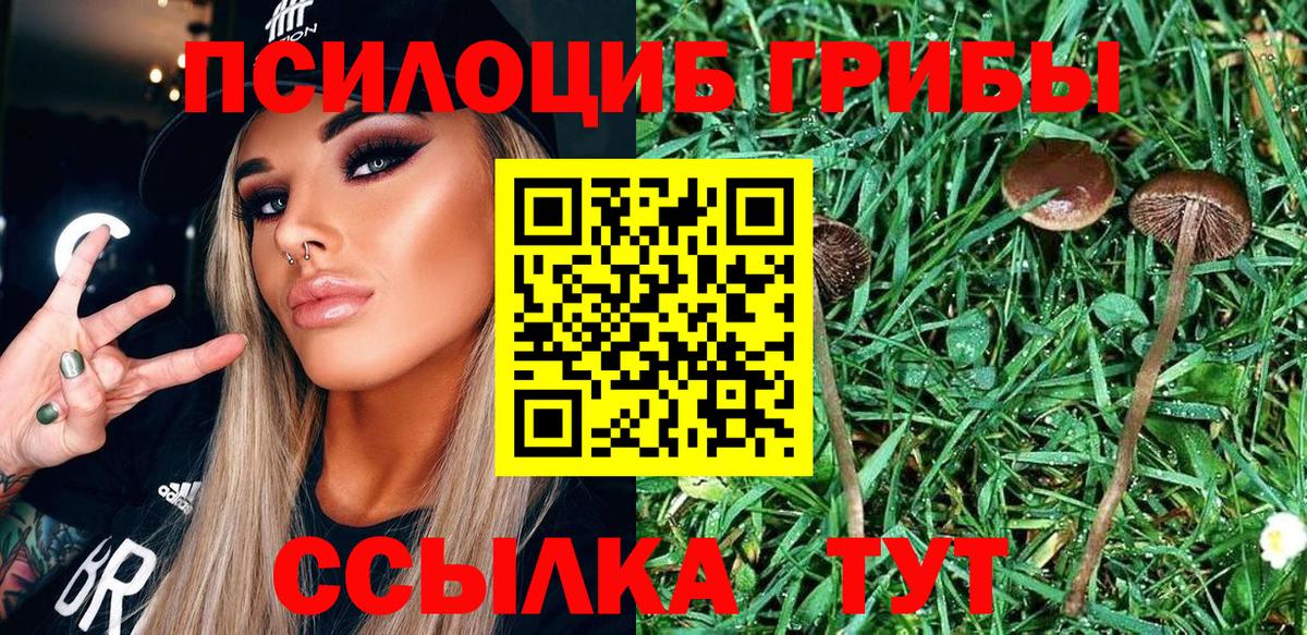Светлоград  Галлюциногенные грибы ЛСД  Вход с VPN 