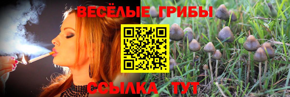Метадон Светлоград