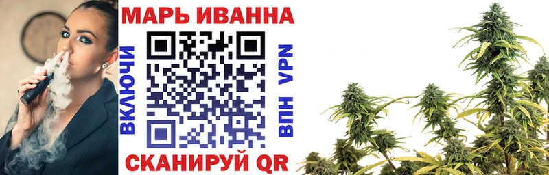 где найти   Светлоград  Марихуана индика 